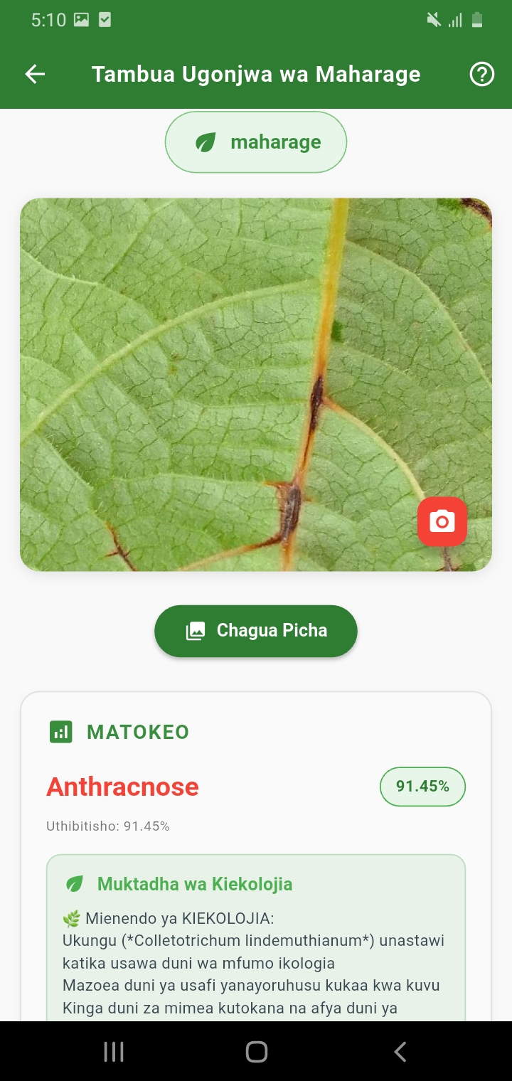 AI Disease Detection Model