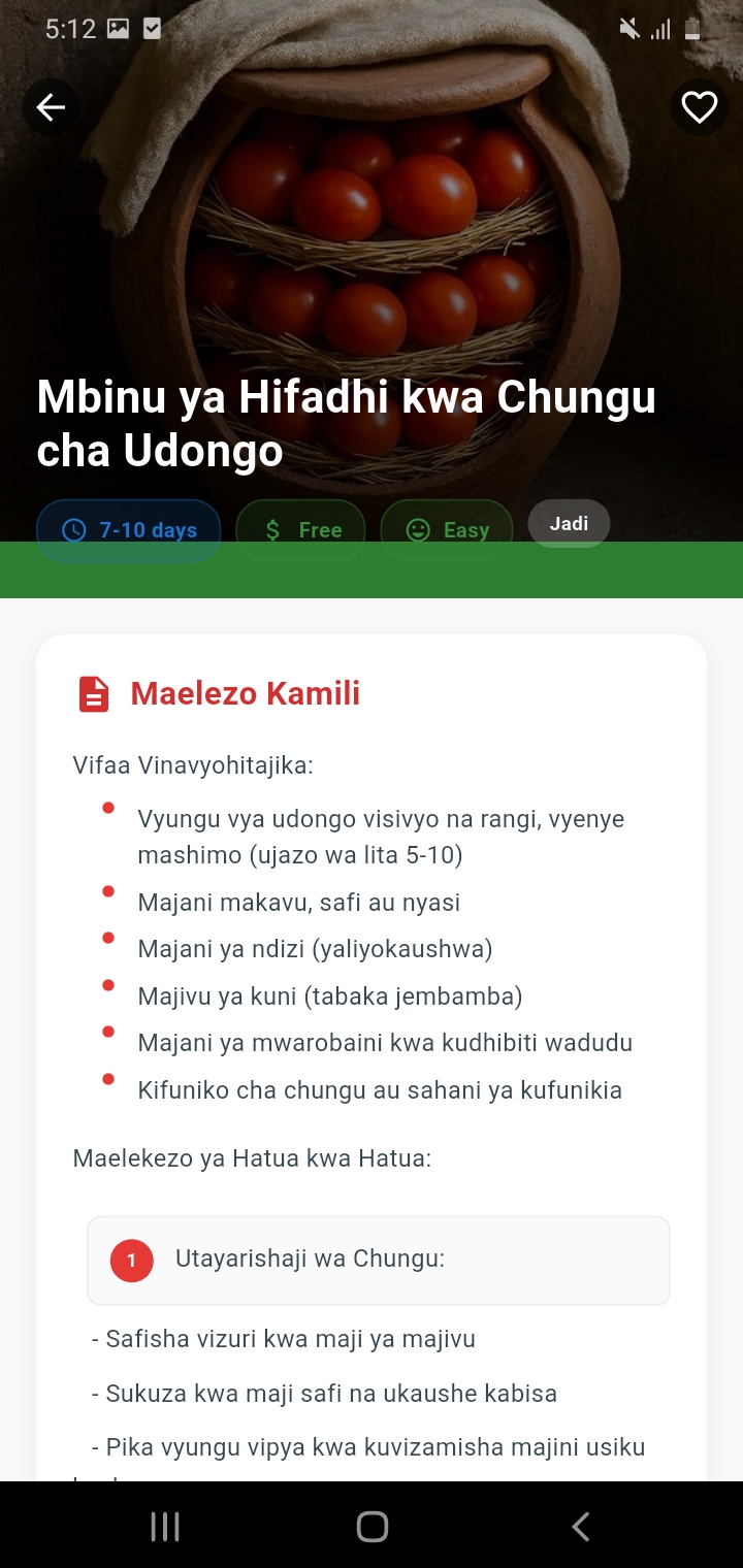 African Traditional Storage Techniques